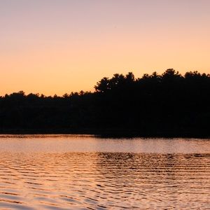 Meet your Posher, Chayse